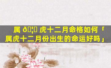 属 🦟 虎十二月命格如何「属虎十二月份出生的命运好吗」